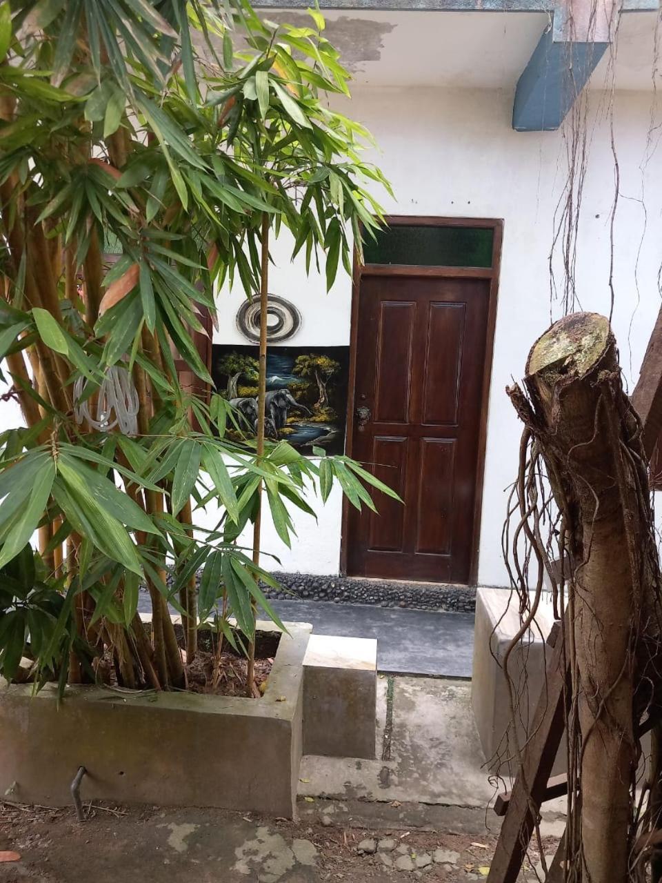 Suninn Hostel And Surf School Weligama Dış mekan fotoğraf