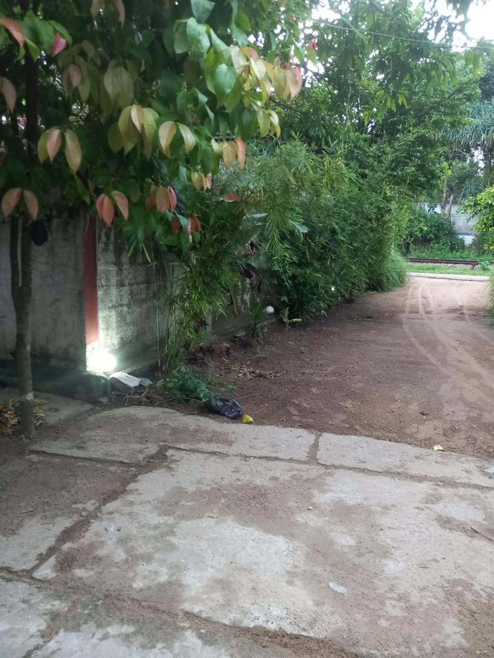 Suninn Hostel And Surf School Weligama Dış mekan fotoğraf